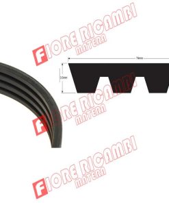 36200038 CINGHIA BCS